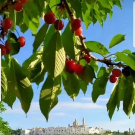 Trullo Pietraluna Martina Franca